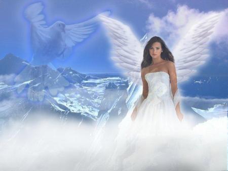 l'ange